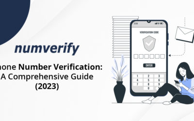 Phone Number Verification: A Comprehensive Guide (2023)