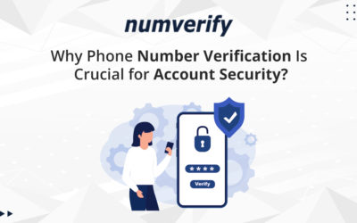Why Phone Number Verification Is Crucial for Account Security?