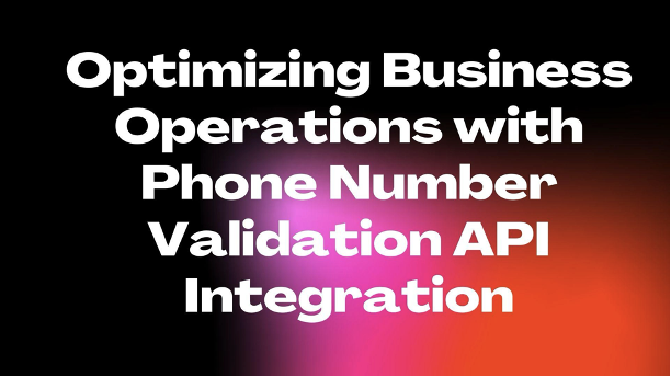 Optimizing Business Operations with Phone Number Validation API Integration