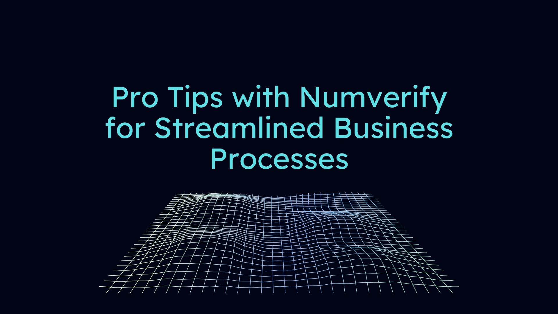 pro tips with numverify for streamlined business processes