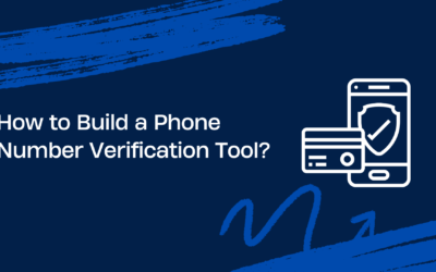 How to Build a Phone Number Verification Tool?