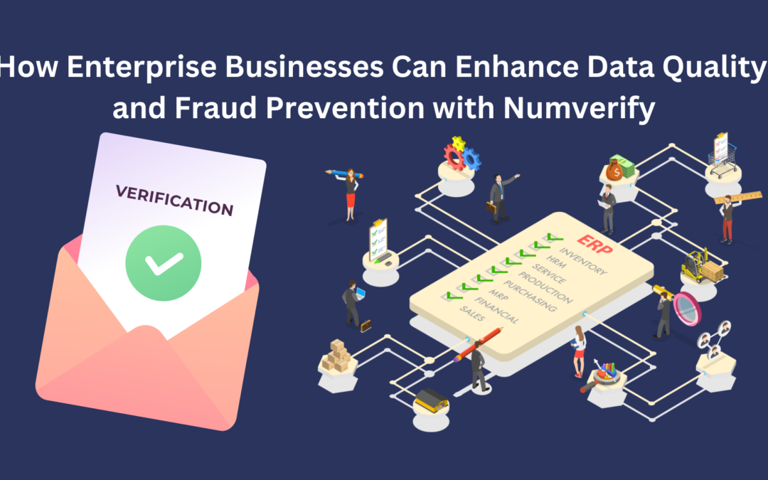 How Enterprise Businesses Can Enhance Data Quality and Fraud Prevention with Numverify