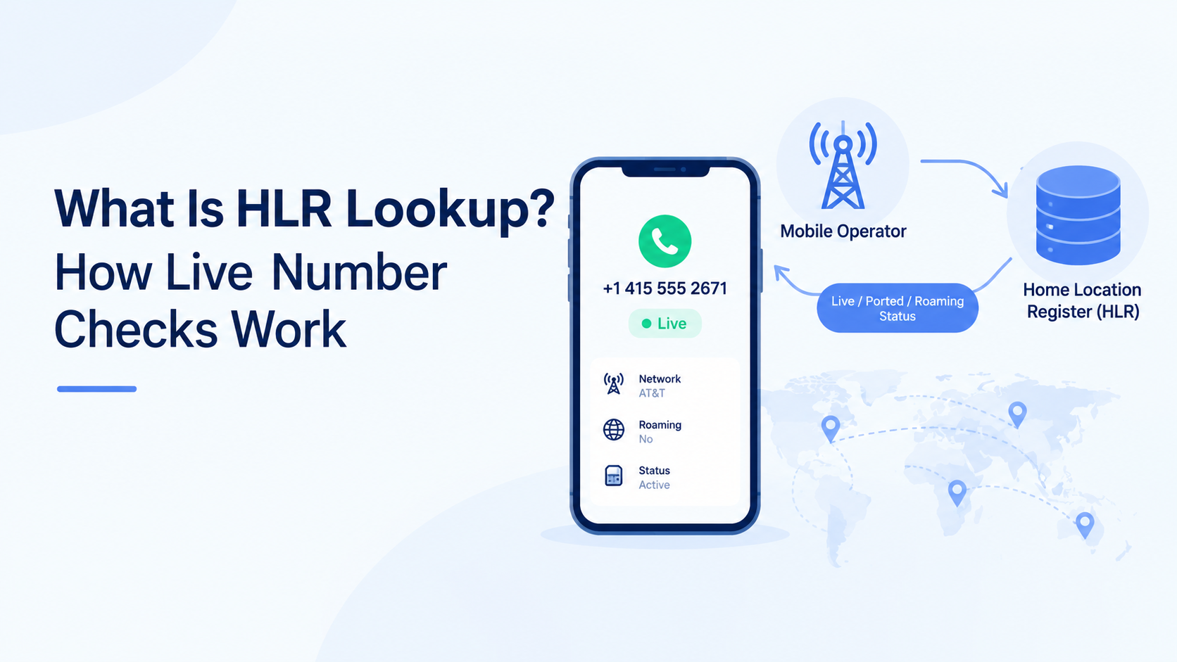 HLR Lookup Explained