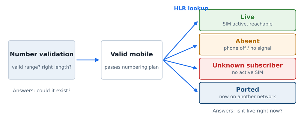 Comparison of number validation and HLR lookup, showing live, absent, unknown subscriber, and ported number statuses